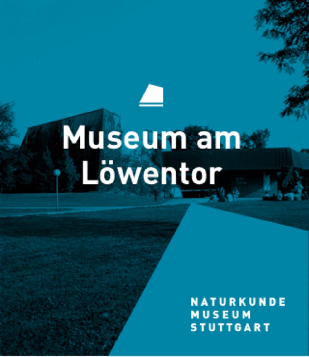 museum loewentor