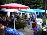 dsc00041.jpg