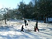 p1060023.jpg