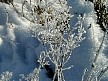 p1060024.jpg