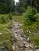 pict0031.jpg
