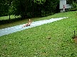 tsommerfest2003so138.jpg