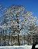 p2010008.jpg