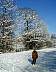 p2010009.jpg