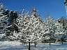 p2010011.jpg
